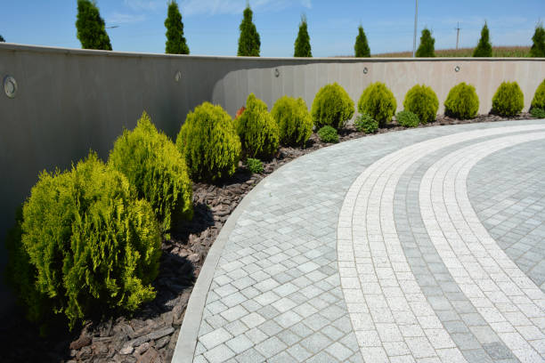 Trusted Arlington, NE Driveway Pavers Experts